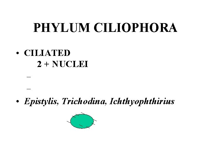 PHYLUM CILIOPHORA • CILIATED 2 + NUCLEI – – • Epistylis, Trichodina, Ichthyophthirius 