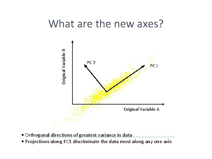 Original Variable B What are the new axes? PC 2 PC 1 Original Variable