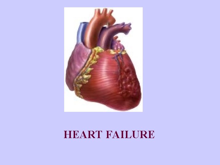 HEART FAILURE 