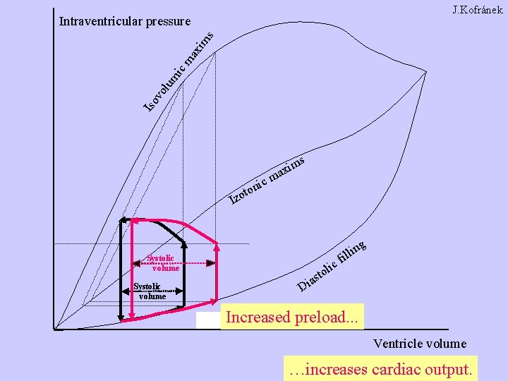 J. Kofránek Iso vo lum ic ma xim s Intraventricular pressure s ic ton