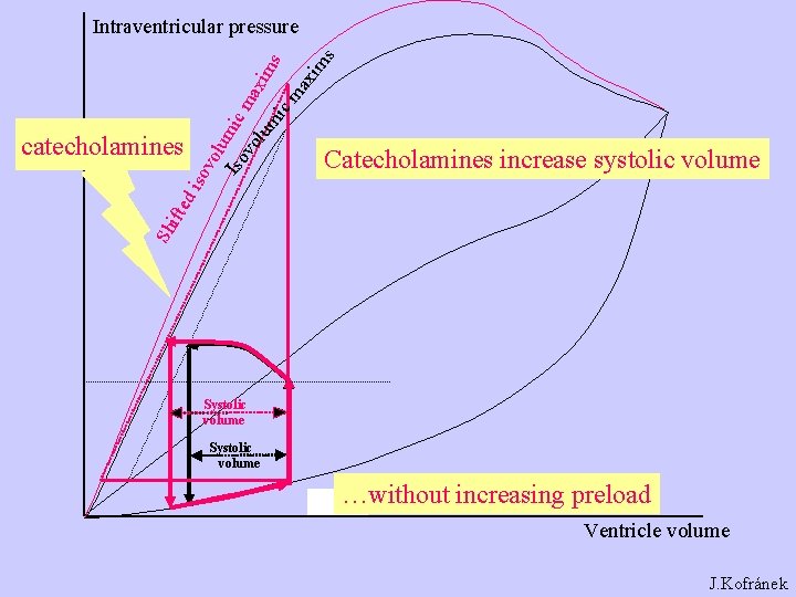 Catecholamines increase systolic volume Sh ifte di catecholamines sov olu Iso mic m vo