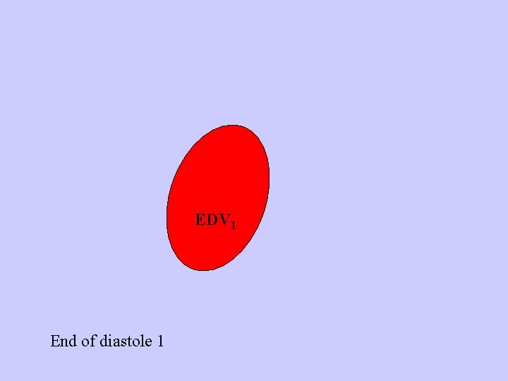 EDV 1 End of diastole 1 