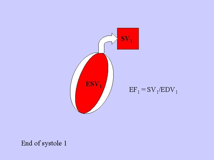 SV 1 End of systole 1 EF 1 = SV 1/EDV 1 