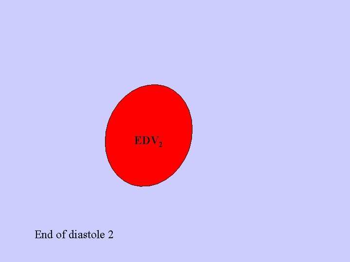 EDV 2 End of diastole 2 