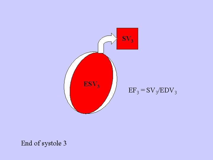 SV 3 End of systole 3 EF 3 = SV 3/EDV 3 