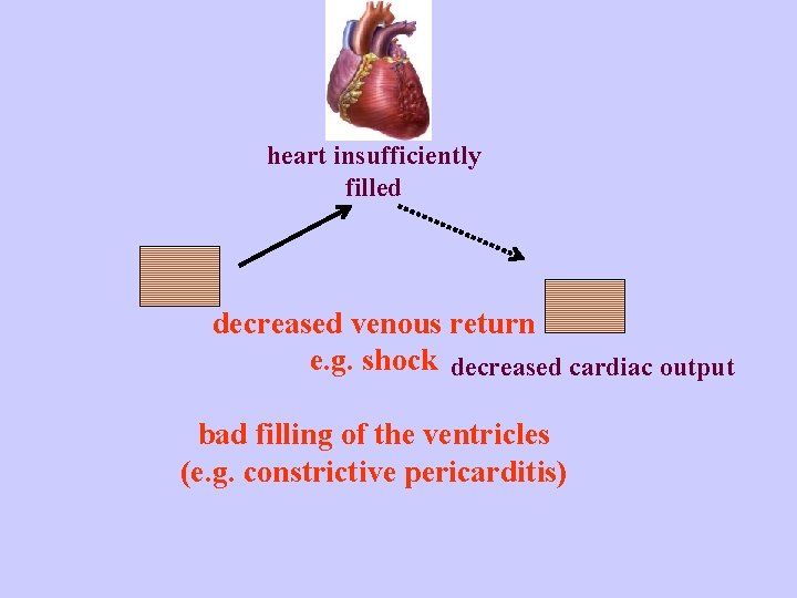 heart insufficiently filled decreased venous return e. g. shock decreased cardiac output bad filling