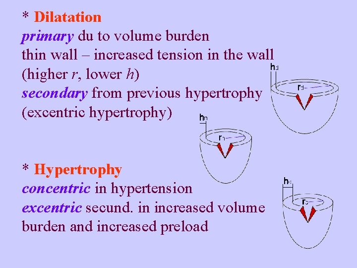 * Dilatation primary du to volume burden thin wall – increased tension in the