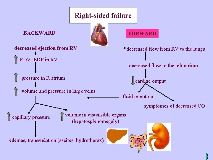 Right-sided failure BACKWARD FORWARD decreased ejection from RV decreased flow from RV to the
