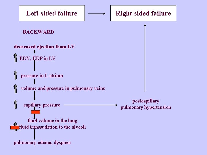 Left-sided failure Right-sided failure BACKWARD decreased ejection from LV EDV, EDP in LV pressure