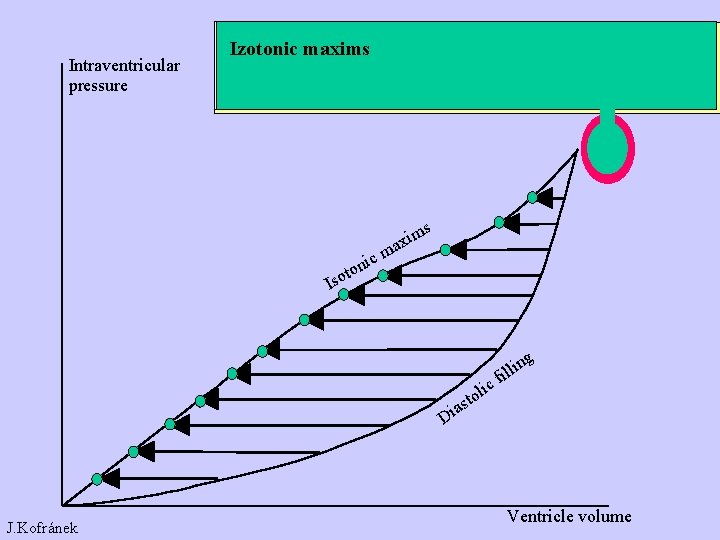 Intraventricular pressure Izotonic maxims s ic ton m axi m Iso as i D