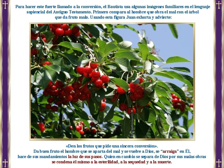 Para hacer este fuerte llamado a la conversión, el Bautista usa algunas imágenes familiares