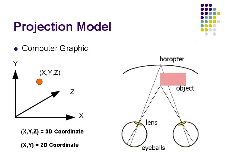 Projection Model l Computer Graphic (X, Y, Z) = 3 D Coordinate (X, Y)