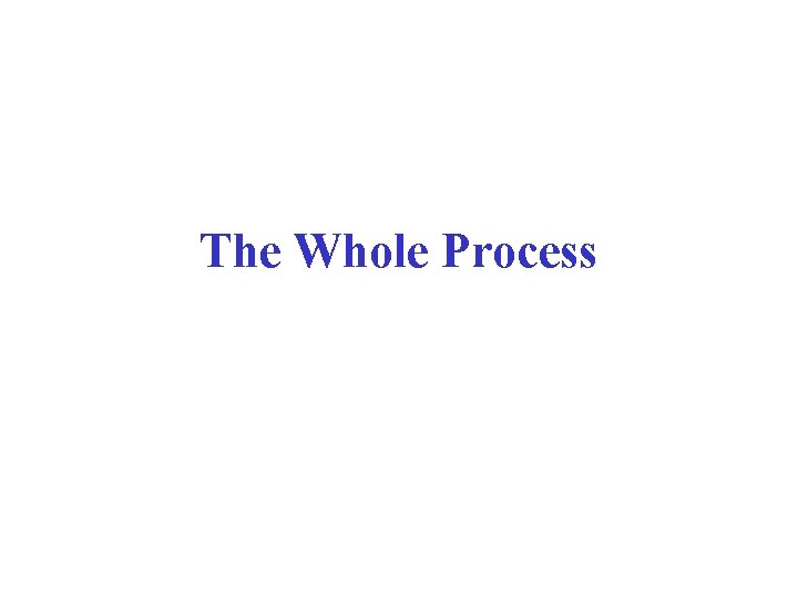 The Whole Process 