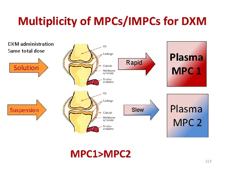 Multiplicity of MPCs/IMPCs for DXM administration Same total dose Solution Rapid Suspension Slow MPC