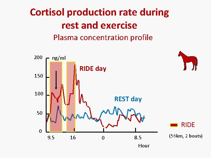 Cortisol production rate during rest and exercise Plasma concentration profile 200 ng/ml RIDE day