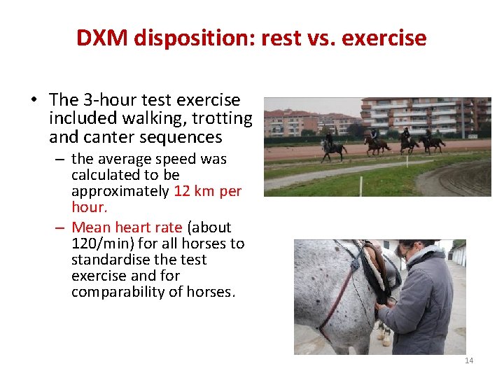 DXM disposition: rest vs. exercise • The 3 -hour test exercise included walking, trotting