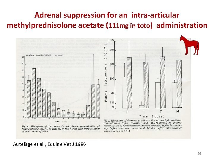 Adrenal suppression for an intra-articular methylprednisolone acetate (111 mg in toto) administration Autefage et
