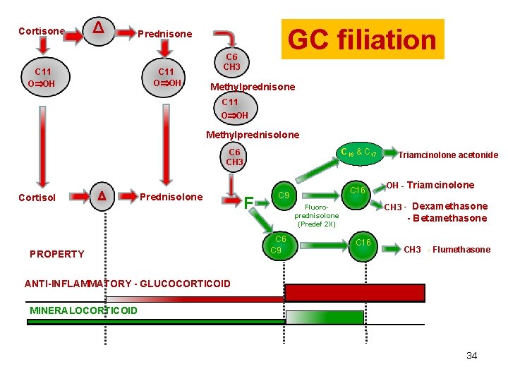 Cortisone Δ GC filiation Prednisone C 11 O OH C 6 CH 3 Methylprednisone