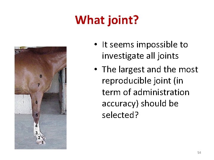 What joint? • It seems impossible to investigate all joints • The largest and