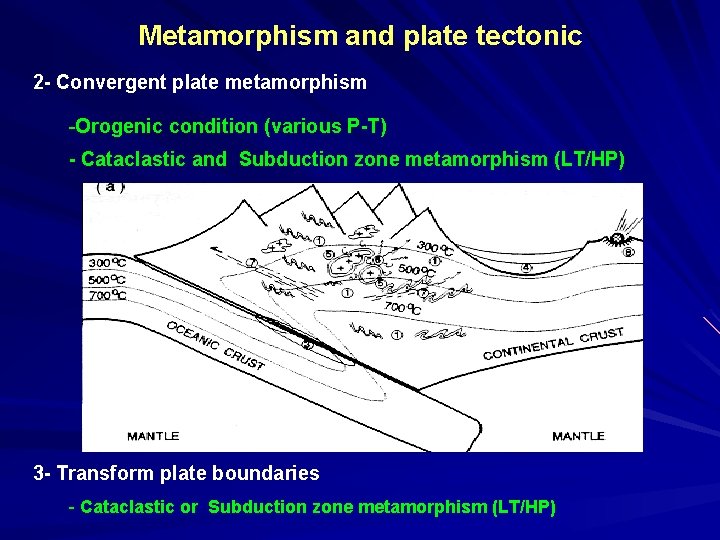 Metamorphism and plate tectonic 2 - Convergent plate metamorphism -Orogenic condition (various P-T) -