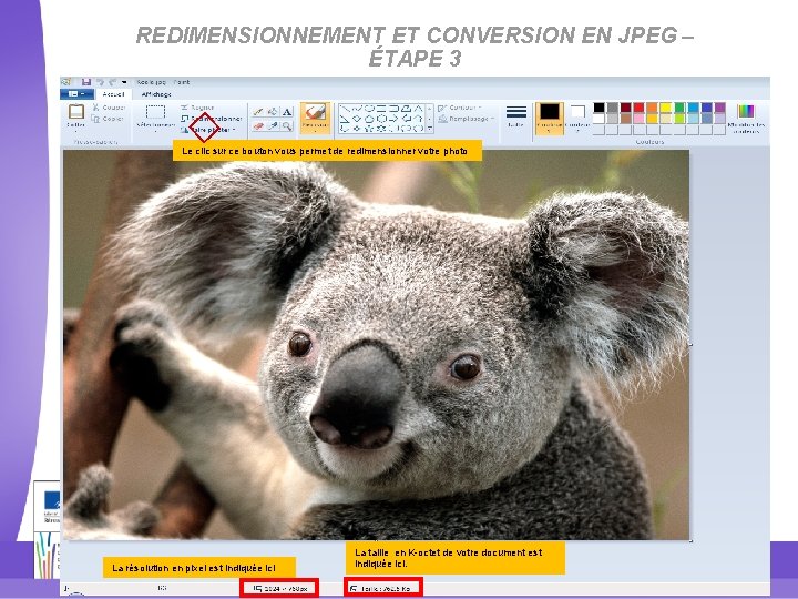 REDIMENSIONNEMENT ET CONVERSION EN JPEG – ÉTAPE 3 � Le clic sur ce bouton REDIMENSIONNEMENT ET CONVERSION EN JPEG – ÉTAPE 3 � Le clic sur ce bouton