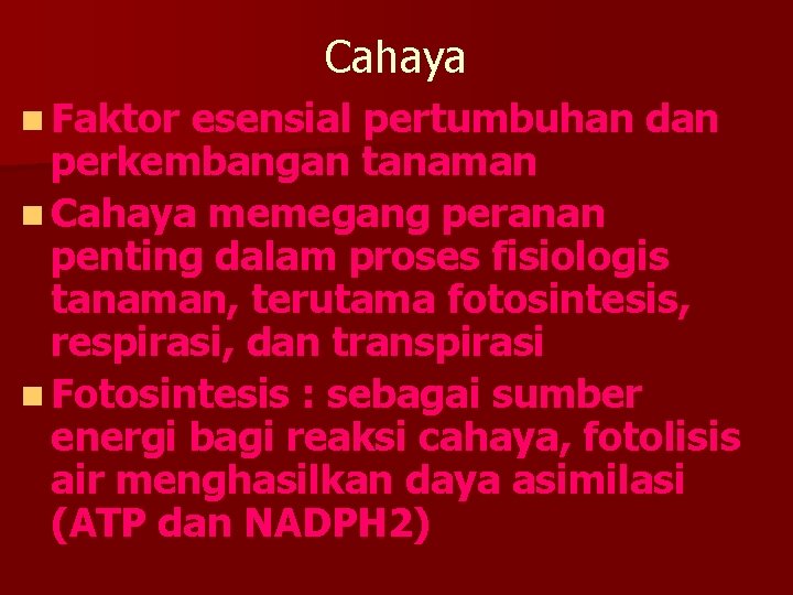 Cahaya n Faktor esensial pertumbuhan dan perkembangan tanaman n Cahaya memegang peranan penting dalam