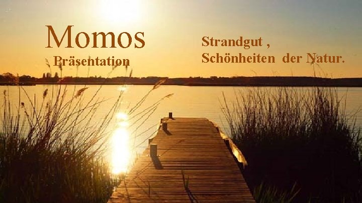 Momos Präsentation Strandgut , Schönheiten der Natur. 