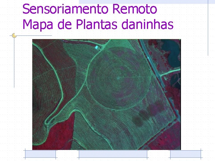 Sensoriamento Remoto Mapa de Plantas daninhas 