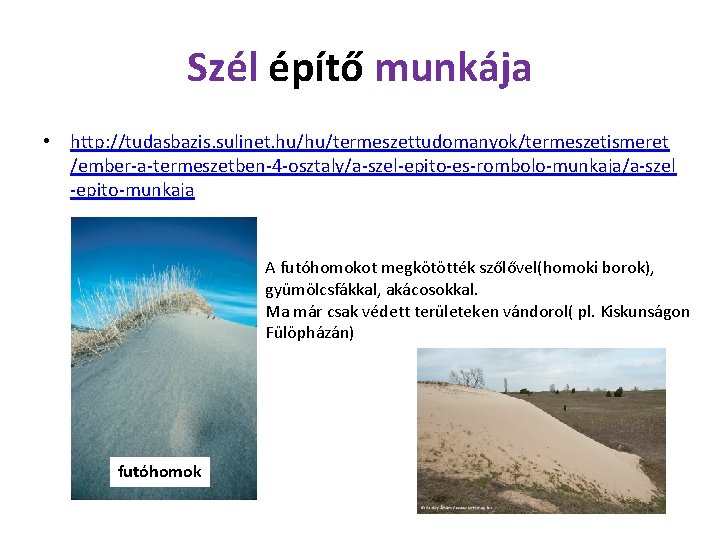 Szél építő munkája • http: //tudasbazis. sulinet. hu/hu/termeszettudomanyok/termeszetismeret /ember-a-termeszetben-4 -osztaly/a-szel-epito-es-rombolo-munkaja/a-szel -epito-munkaja A futóhomokot megkötötték