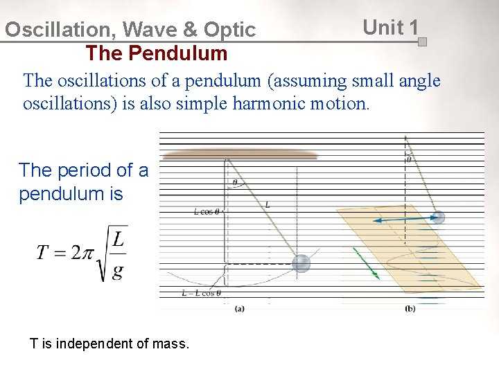 Oscillation, Wave & Optic The Pendulum Unit 1 The oscillations of a pendulum (assuming