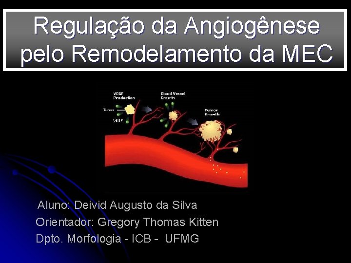 Regulação da Angiogênese pelo Remodelamento da MEC Aluno: Deivid Augusto da Silva Orientador: Gregory