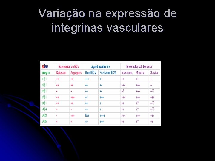 Variação na expressão de integrinas vasculares 