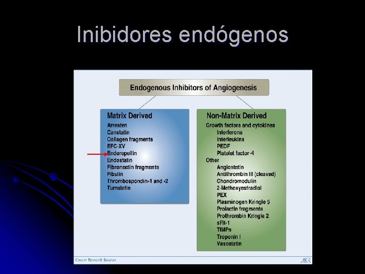 Inibidores endógenos 