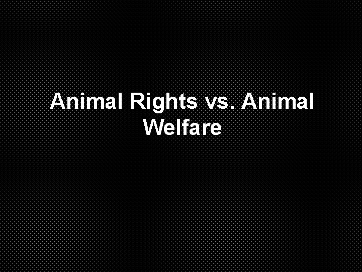 Animal Rights vs. Animal Welfare 