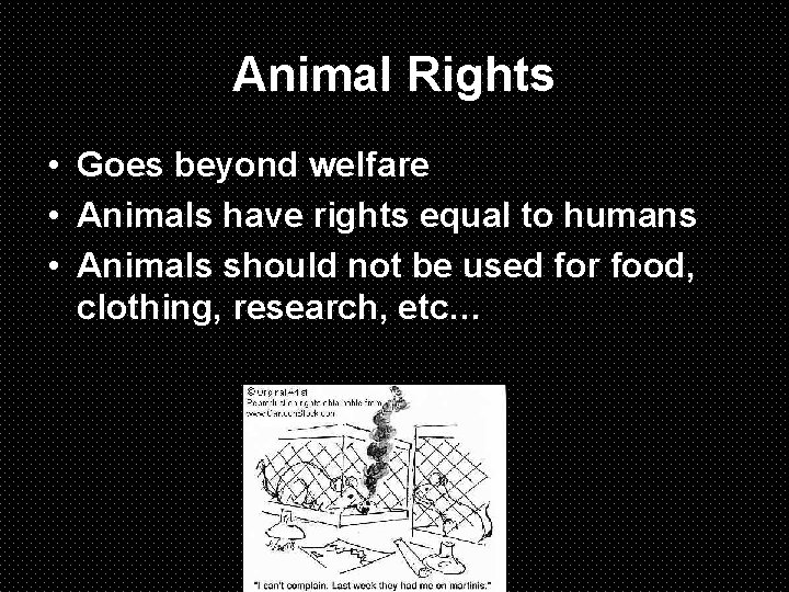 Animal Rights • Goes beyond welfare • Animals have rights equal to humans •