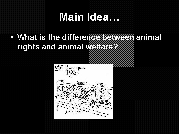 Main Idea… • What is the difference between animal rights and animal welfare? 