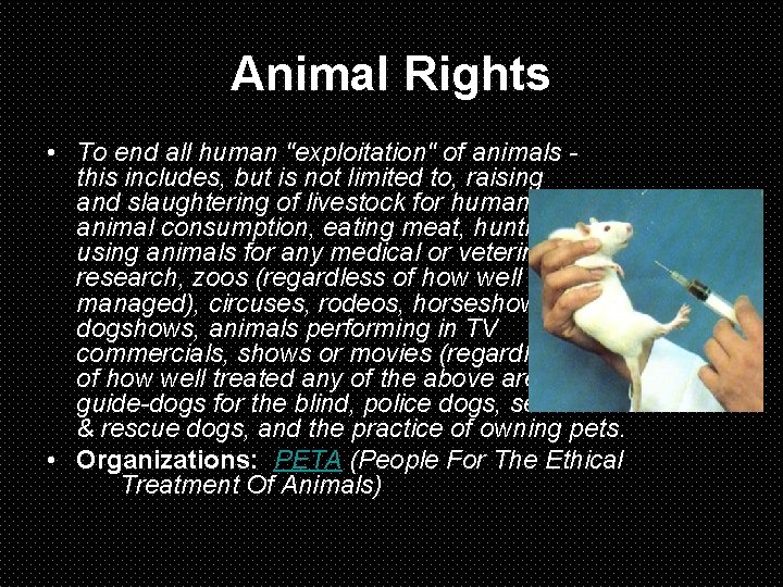 Animal Rights • To end all human "exploitation" of animals this includes, but is