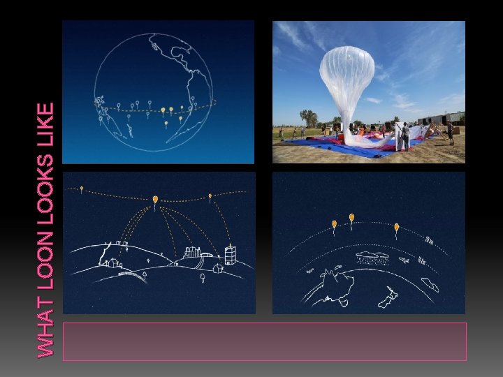 WHAT LOON LOOKS LIKE WHAT LOON LOOKS LIKE