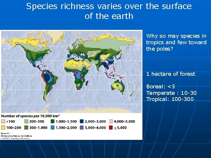 Species richness varies over the surface of the earth Why so may species in