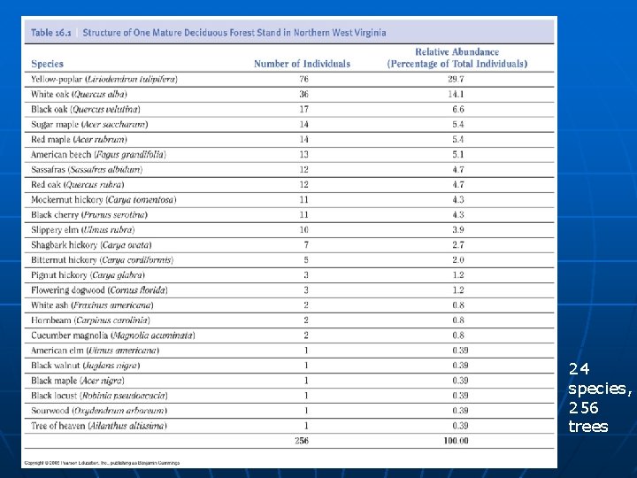 24 species, 256 trees 