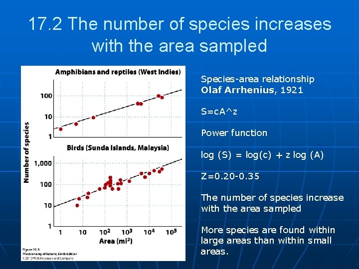 17. 2 The number of species increases with the area sampled Species-area relationship Olaf