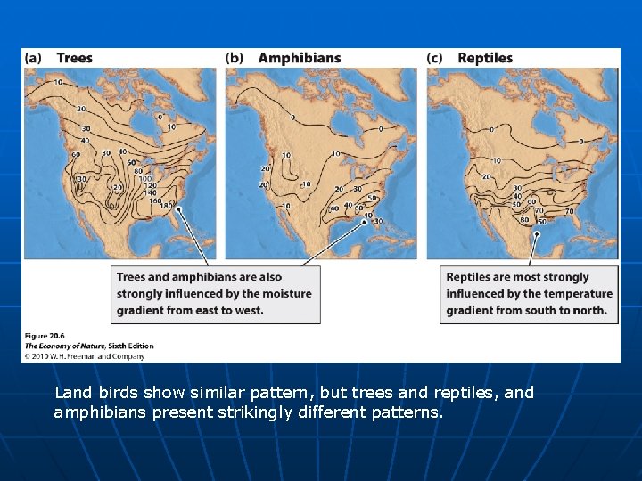 Land birds show similar pattern, but trees and reptiles, and amphibians present strikingly different