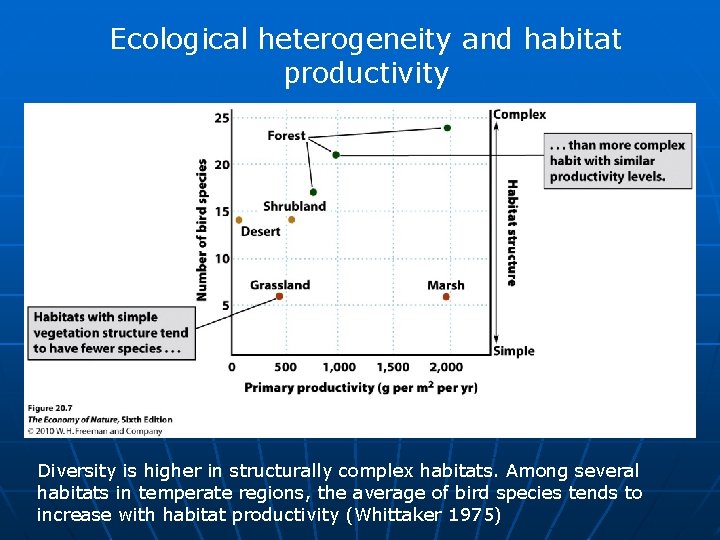Ecological heterogeneity and habitat productivity Diversity is higher in structurally complex habitats. Among several