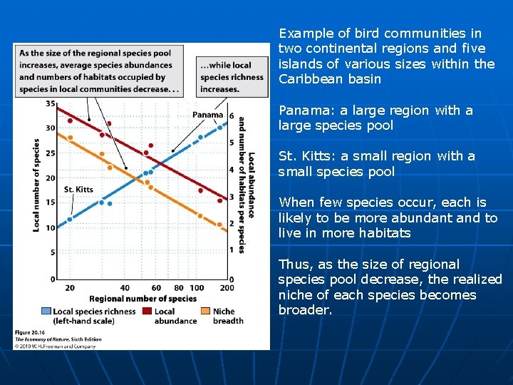 Example of bird communities in two continental regions and five islands of various sizes