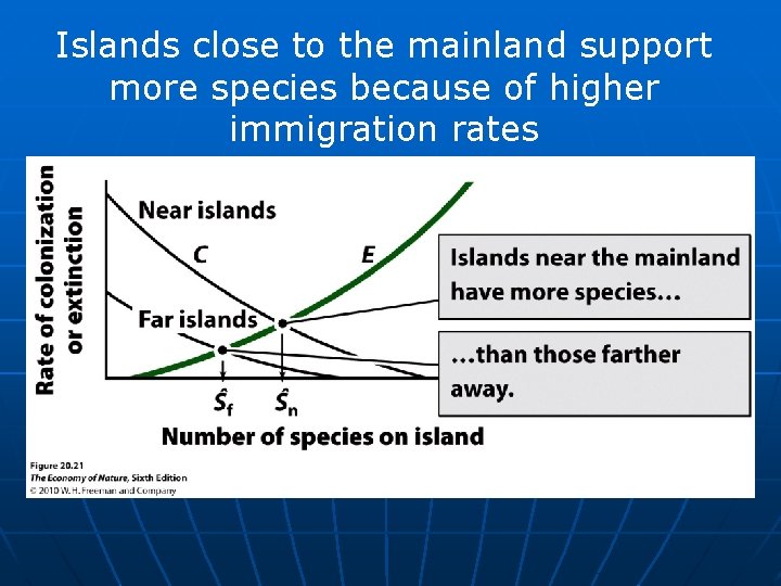 Islands close to the mainland support more species because of higher immigration rates 