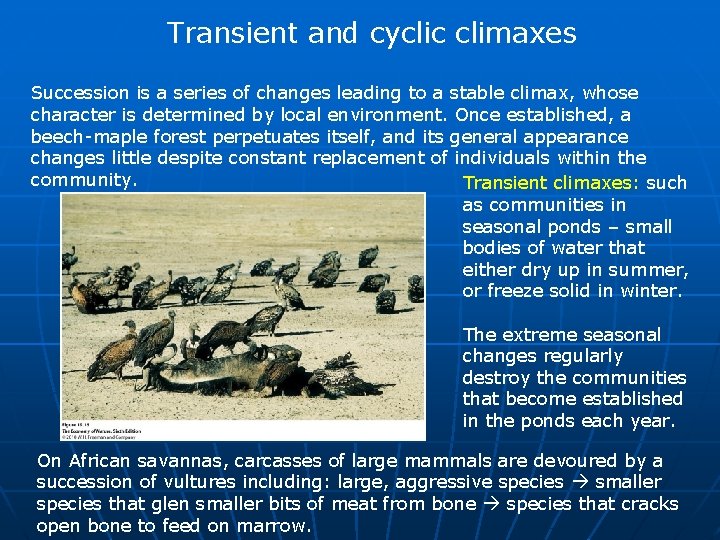 Transient and cyclic climaxes Succession is a series of changes leading to a stable