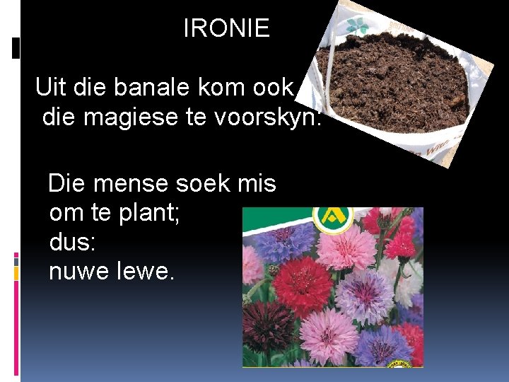 IRONIE Uit die banale kom ook die magiese te voorskyn: Die mense soek mis