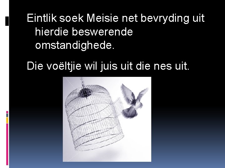 Eintlik soek Meisie net bevryding uit hierdie beswerende omstandighede. Die voëltjie wil juis uit