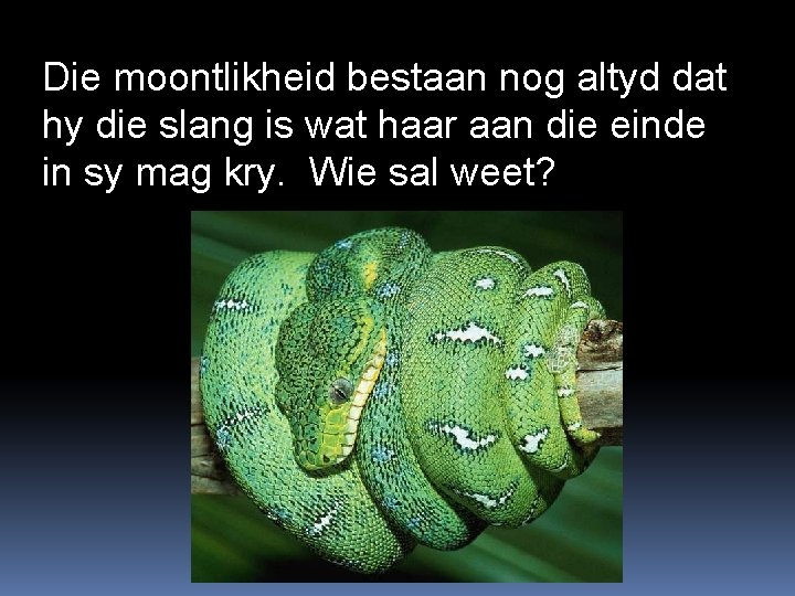 Die moontlikheid bestaan nog altyd dat hy die slang is wat haar aan die