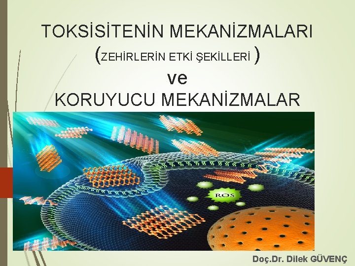 TOKSİSİTENİN MEKANİZMALARI (ZEHİRLERİN ETKİ ŞEKİLLERİ ) ve KORUYUCU MEKANİZMALAR Doç. Dr. Dilek GÜVENÇ 